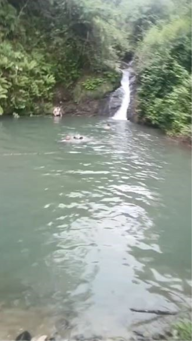 arhavide golette bogulan 2 din 19947268 4673 1 m