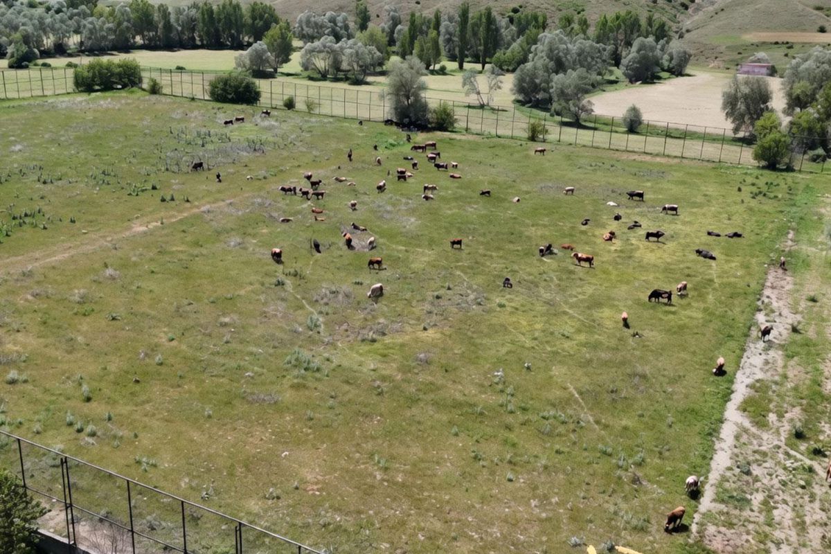 Yozgat'ta bir zamanlar profesyonel futbol takımı antrenman sahası olarak kullanılan, şimdilerde bakımsız ve otlarla kaplı alan.