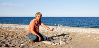 Çıralı'da caretta carettaların yuvalama sezonu gecikmeli başladı