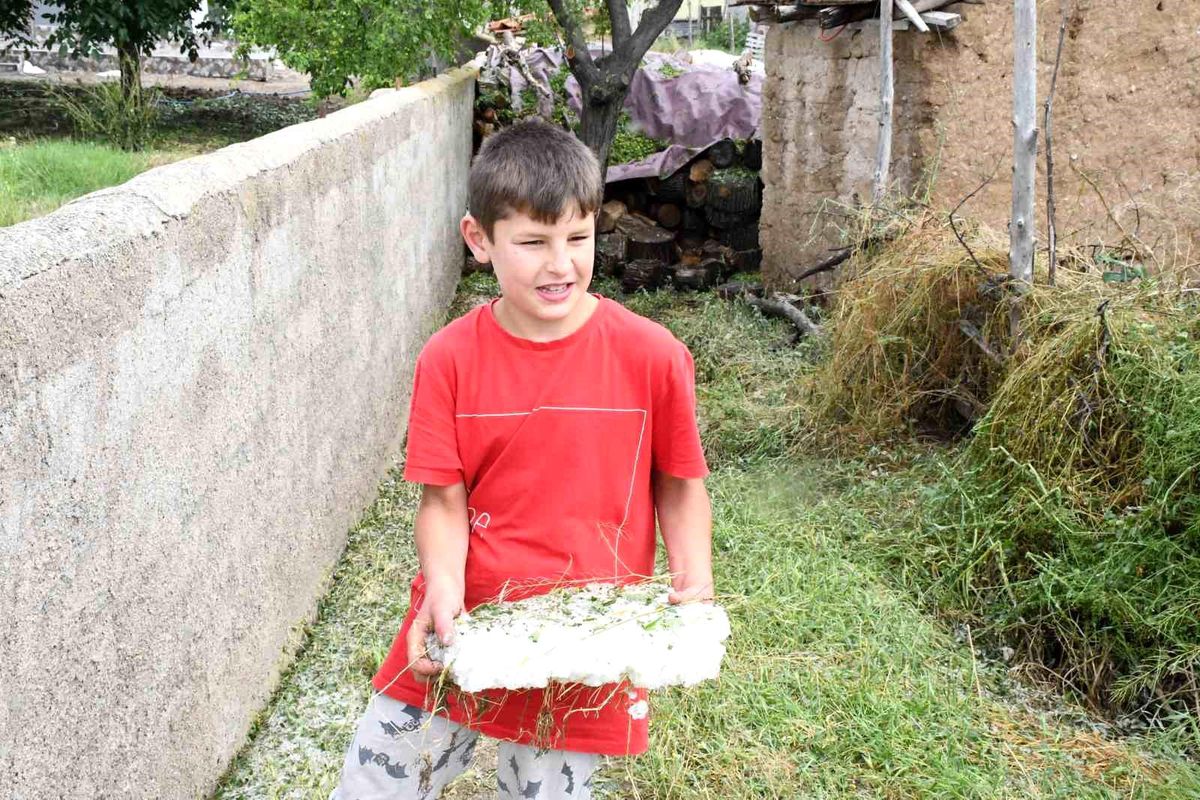 Dolu ve sel vurdu, hasada günler kala arpa tarlaları zarar gördü