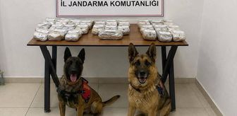 Hakkari'de 21 kilo 650 gram esrar ele geçirildi