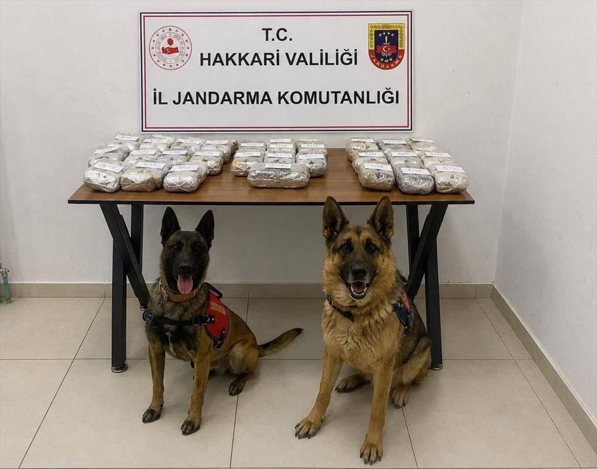Hakkari'nin Şemdinli ilçesinde jandarma ekiplerince durdurulan bir araçta ele geçirilen esrar maddeleri.