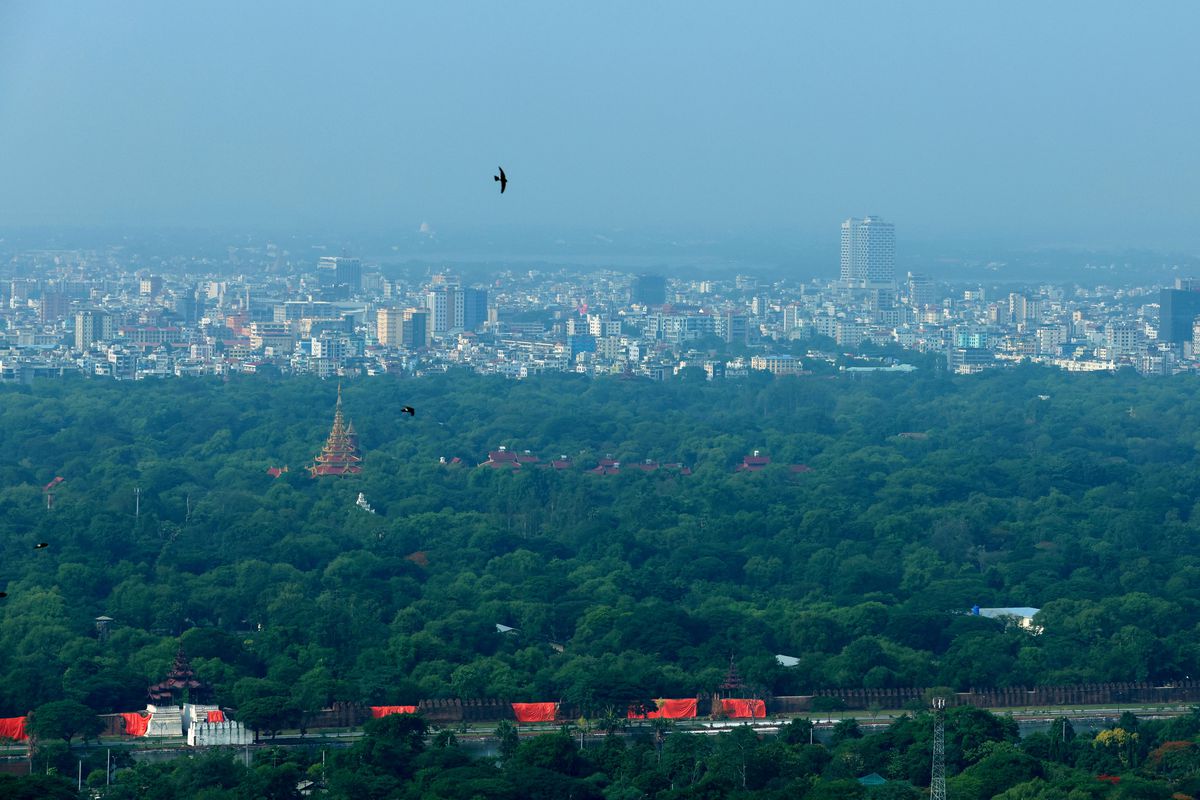 Myanmar Bu Yılki Yağış Sezonunda 21 Milyondan Fazla Fidan Dikecek