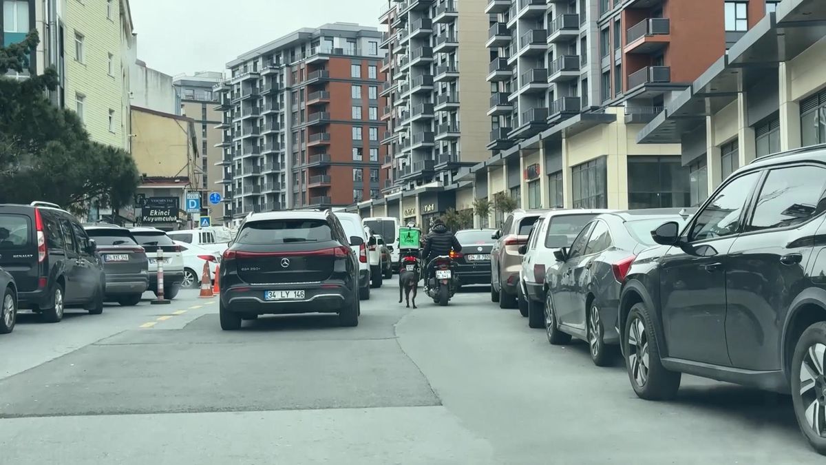 Motosikletine bağlı köpeği koşturan şahsa polis tarafından ceza kesildi