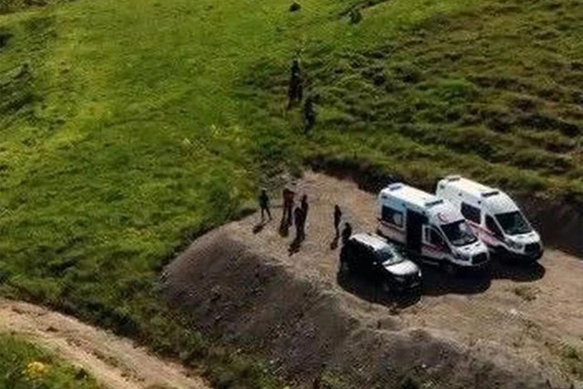 Tunceli'de mantar toplamaya giden 3 kişiye ayı saldırdı