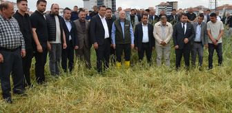 TZOB Genel Başkanı Bayraktar, Kahramankazan'da zarar gören tarım arazilerinde incelemede bulundu Açıklaması