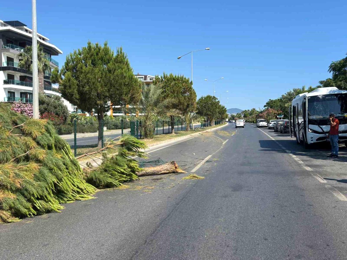 Alanya'da alkollü sürücünün kullandığı midibüs refüjü aşıp karşı şeride geçti