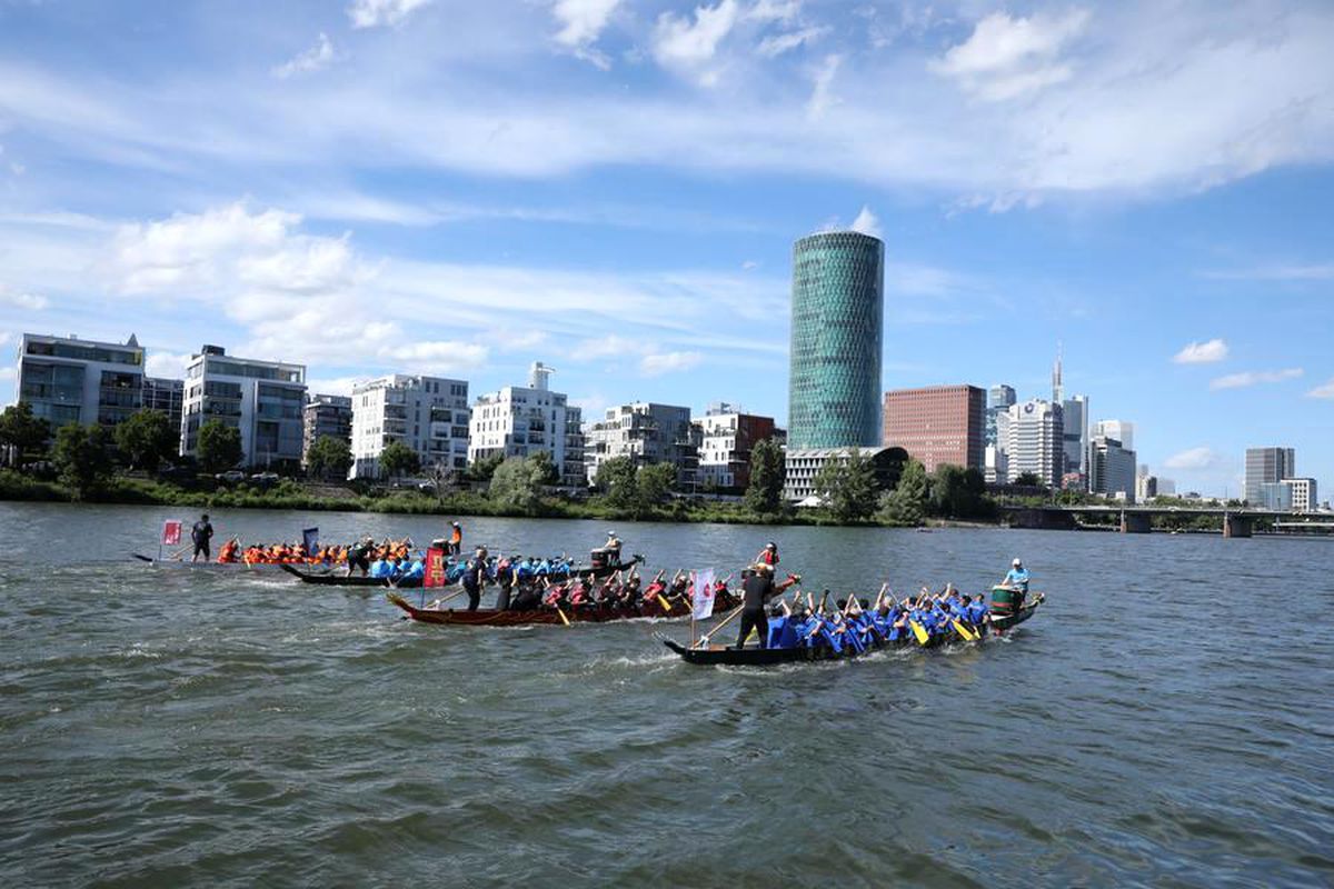 Frankfurt'ta düzenlenen Ejderha Teknesi Festivali'nde takımlar Main Nehri'nde yarışıyor.