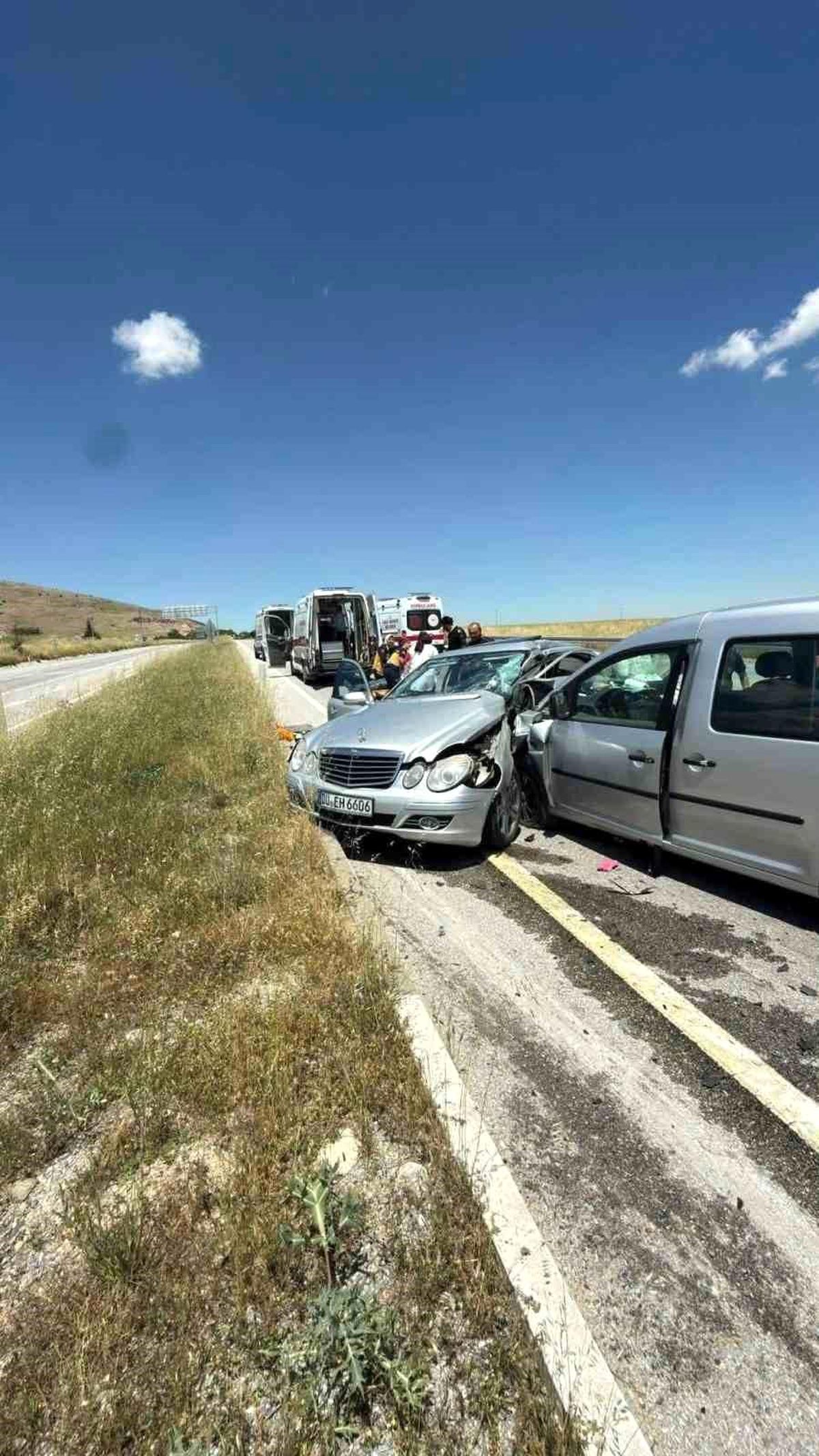 Almanyalı gurbetçi kazada hayatını kaybetti