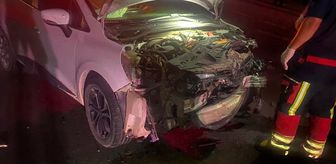 Balıkesir'de otomobilin çarptığı 7 küçükbaş hayvan telef oldu