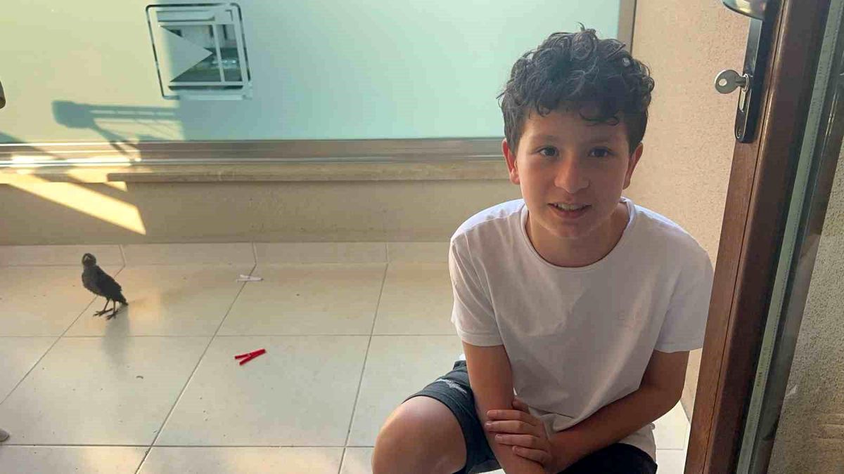 Bulduğu yavru kargalara evinde bakıyor