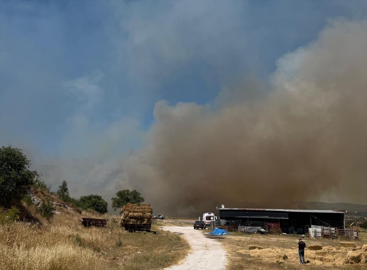 Çanakkale'de bozuk orman alanında çıkan yangına müdahale ediliyor