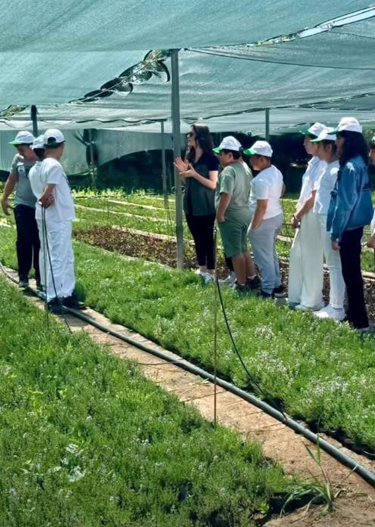 Elazığ'da öğrenciler doğayla buluştu