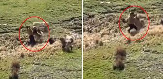 Görüntü Türkiye'den! Kamera dehşet anlarının her saniyesini kaydetti