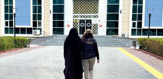 Kırşehir'de terör örgütü DEAŞ'a yönelik operasyonda 1 zanlı tutuklandı