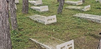 Vezirköprü'deki Şehitlik Havza Belediyesi Tarafından Temizlendi