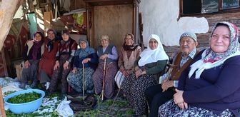 Nallıhan ilçesinde ipek böcekçiliği geleneği sürdürülüyor