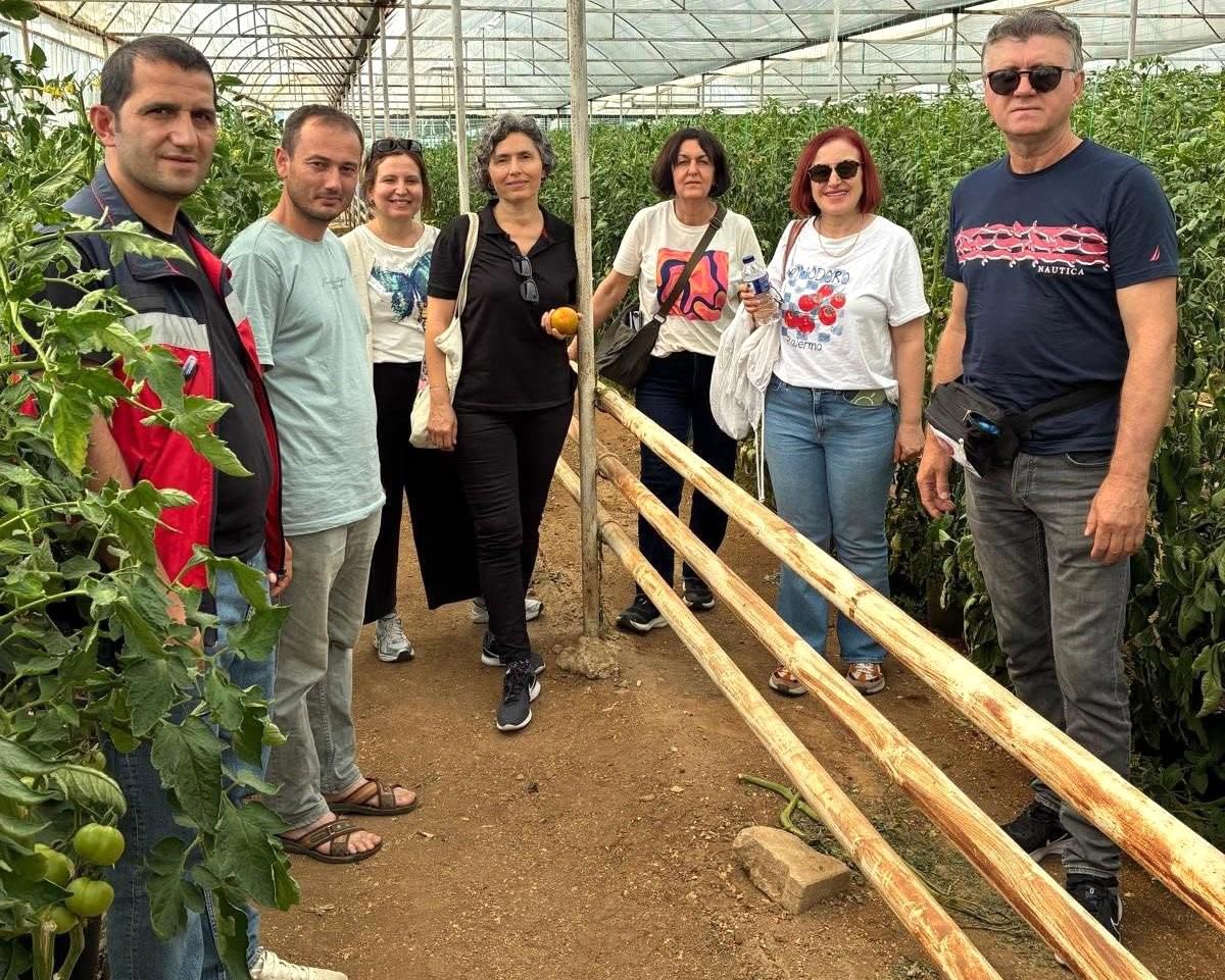 Simav'daki seracılara domates hastalıkları ve zararlıları eğitimi