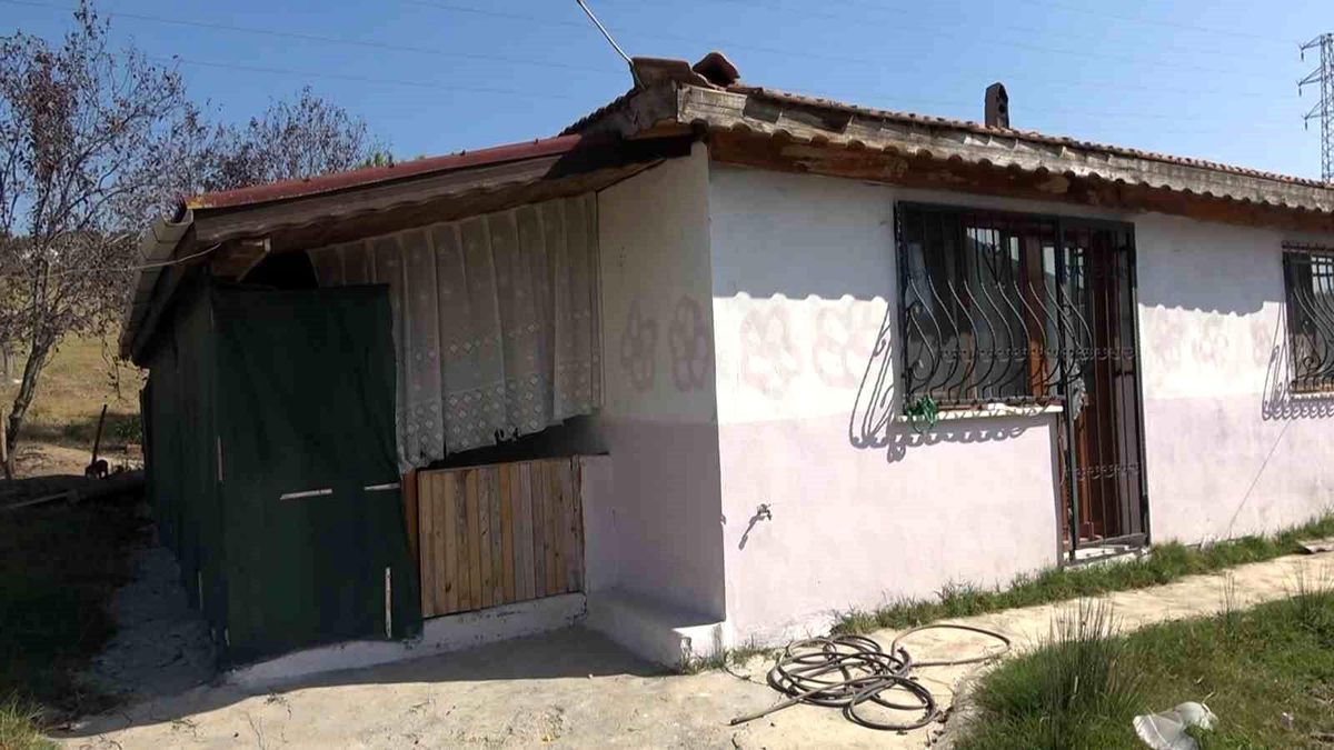 11 Yaşındaki Kerem'in Ölümünde Anneye Müebbet Talebi