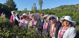 AK Parti Kadın Kolları Başkanı Ercan, Isparta'da Gül hasadına katıldı Açıklaması