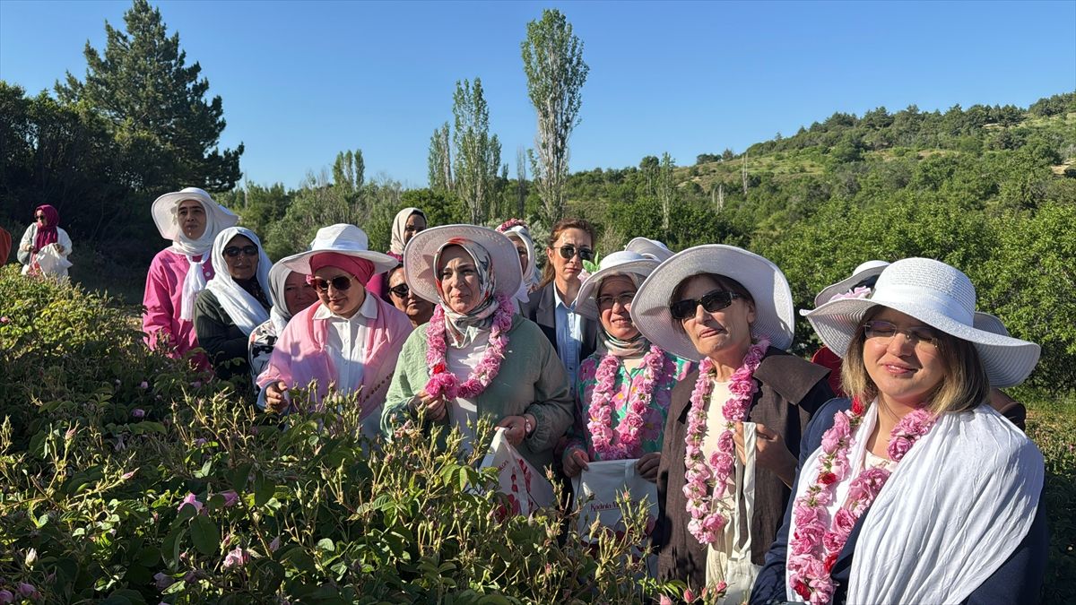 AK Parti Kadın Kolları Başkanı Ercan, Isparta'da Gül hasadına katıldı Açıklaması