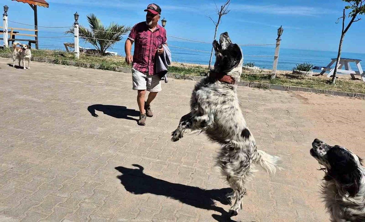 Bartın'da insansız hava araçlarını (İHA) yakalayan bir köpeğin genel planı.