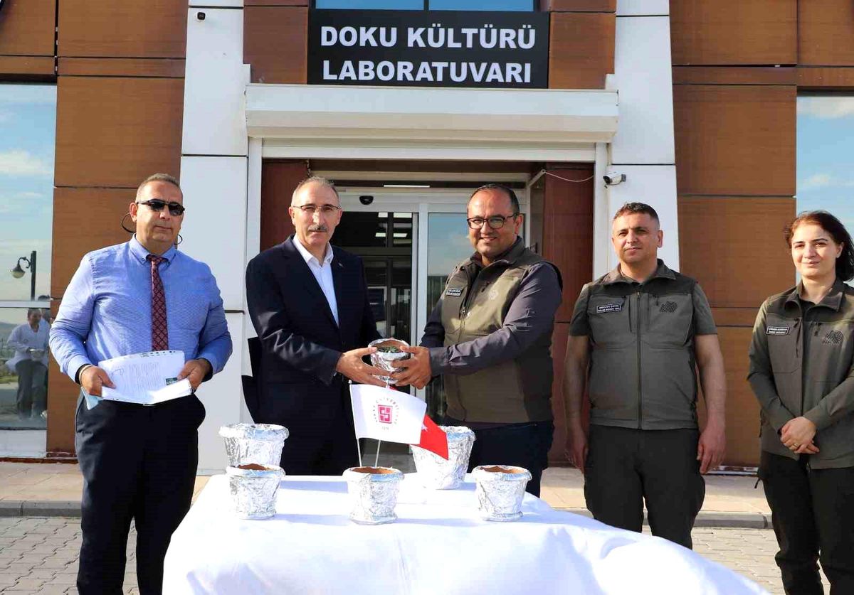 FÜ'de üretilen endemik bitkiler doğaya kazandırılıyor
