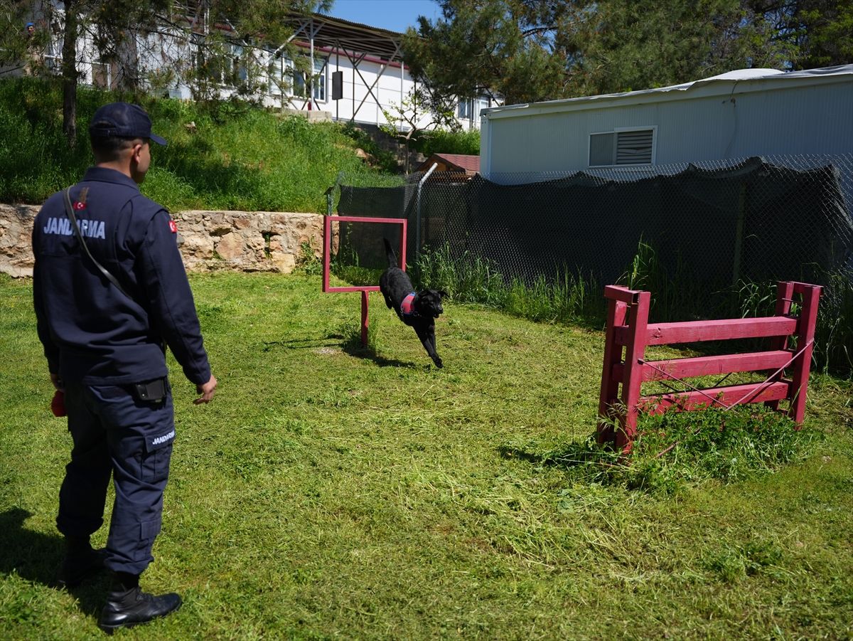 Jandarmanın iz takip köpeği 'Becet' emekliye ayrıldı