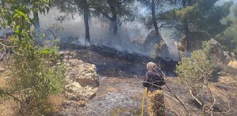 Kahramanmaraş'ta ormanlık alanda çıkan yangın söndürüldü