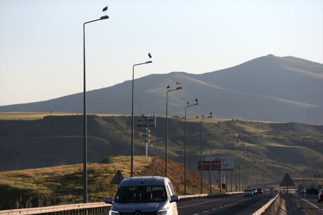 kayseri kuzey cevre yolunda go 19953815 1151 1 m