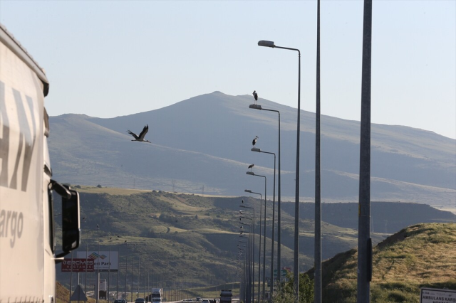 kayseri kuzey cevre yolunda go 19953815 4074 1 m