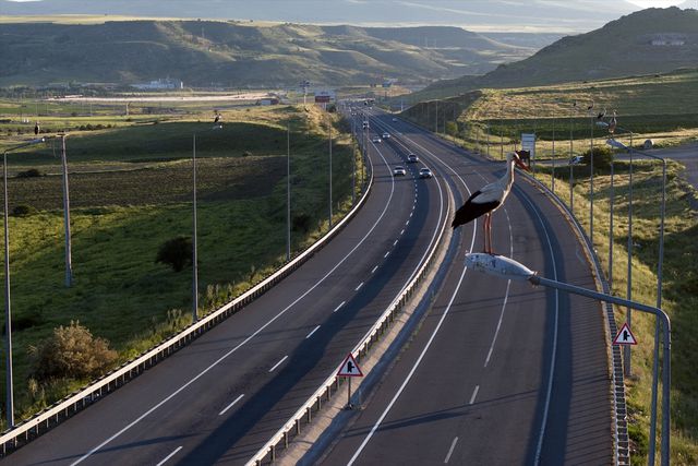 leylekli yol un mudavimleri direklerin ustund 3 19953815 o