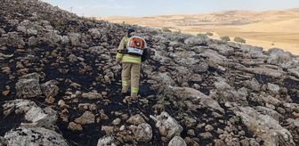 Mardin'de 1 haftada 236 yangına müdahale edildi