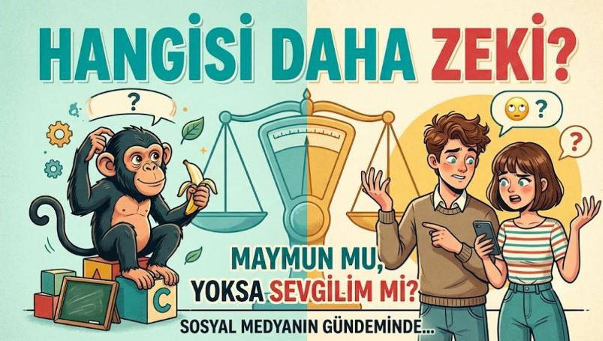 Maymun mu daha zeki sevgilim mi soruları!