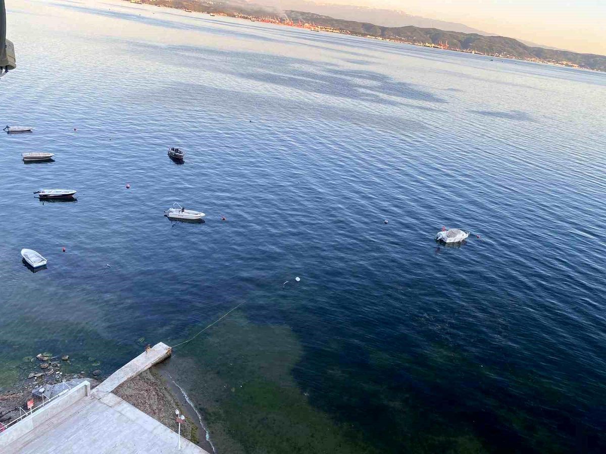 Müsilajın ardından Gemlik Körfezi'nde sevindiren görüntüler