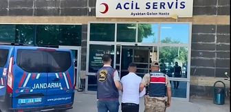 Şanlıurfa'da firari hükümlü yakalandı