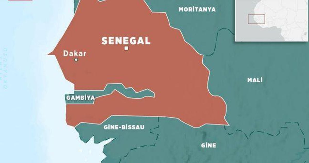 Senegal milli futbol takımı oyuncuları Dünya Kupası'nda mücadele ederken