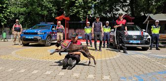 Siirt'te jandarmanın eğitimli köpekleri minik öğrenciler için gösteri yaptı