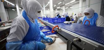 TKDK desteğiyle büyüyen balık işleme fabrikası 5 ülkeye ihracat yapıyor