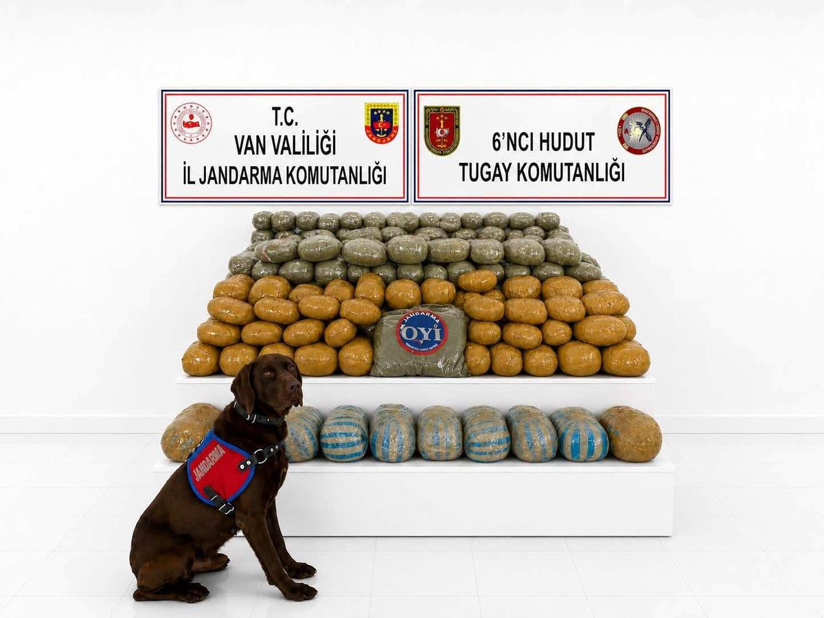 Van'da 291 kilogram toz esrar ele geçirildi