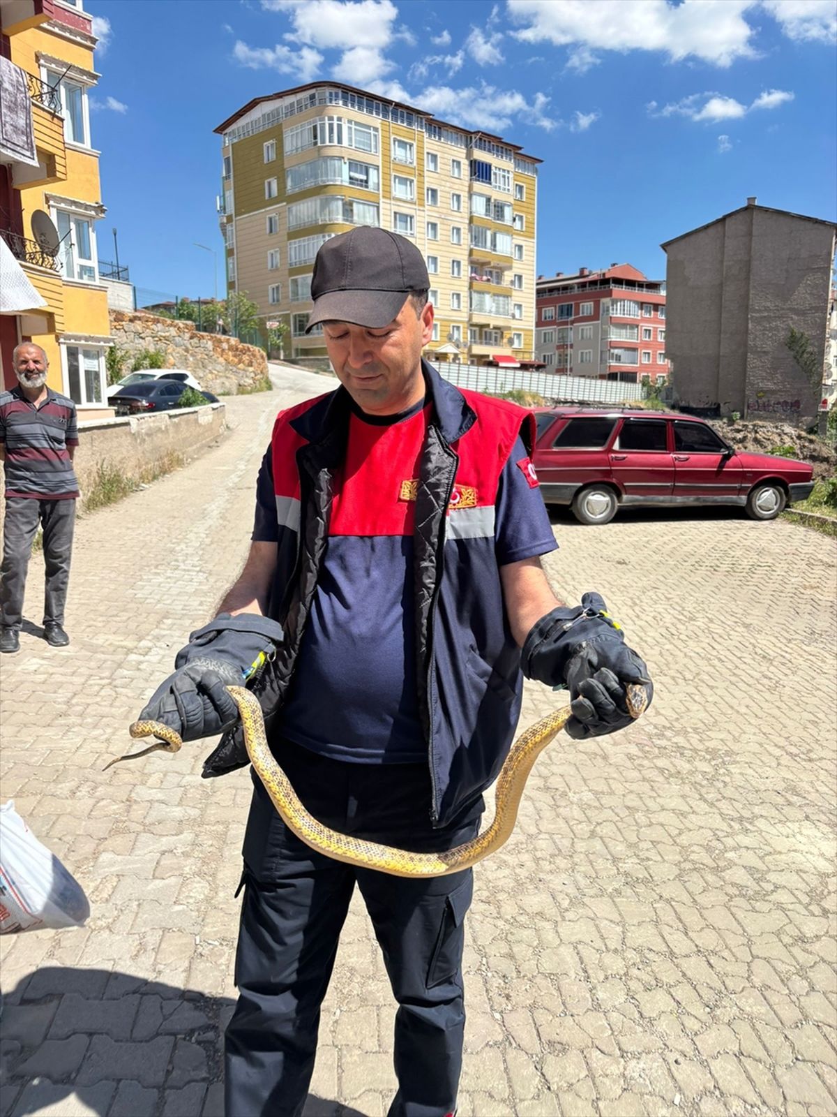 Yozgat'ta otomobilin motoruna giren yılan itfaiye ekiplerince çıkarıldı