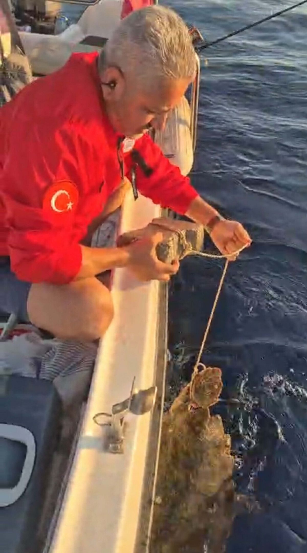 Kuşadası açıklarında kurtarılan caretta caretta