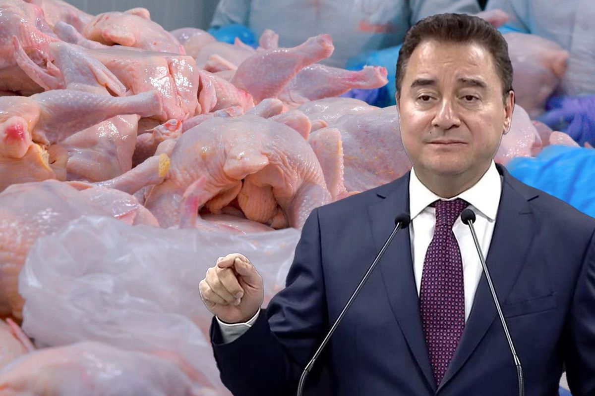 Babacan'dan tavuk şirketlerine kayyum atanmasına sert tepki: Polisiye tedbirlerle enflasyonu düşüremezsiniz