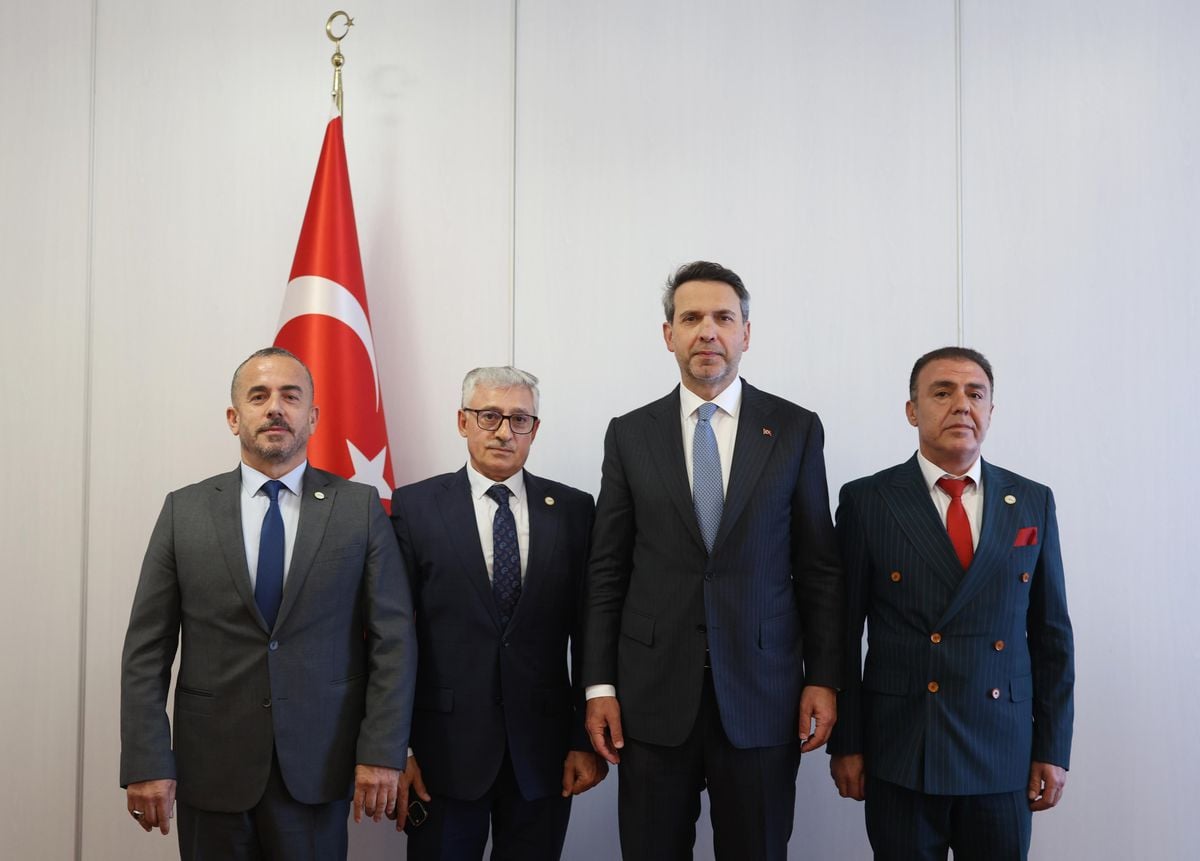 Bakan Bayraktar, Romanya'da