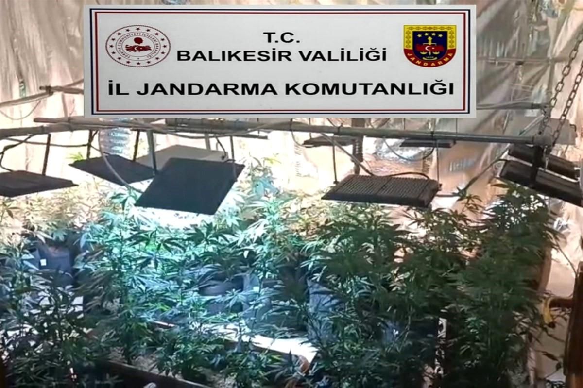 Balıkesir'de jandarmadan uyuşturucu serasına çevrilen evlere baskın: 12 gözaltı