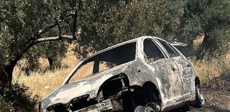 Balıkesir'de otomobilde başlayıp zeytinliğe sıçrayan yangın söndürüldü