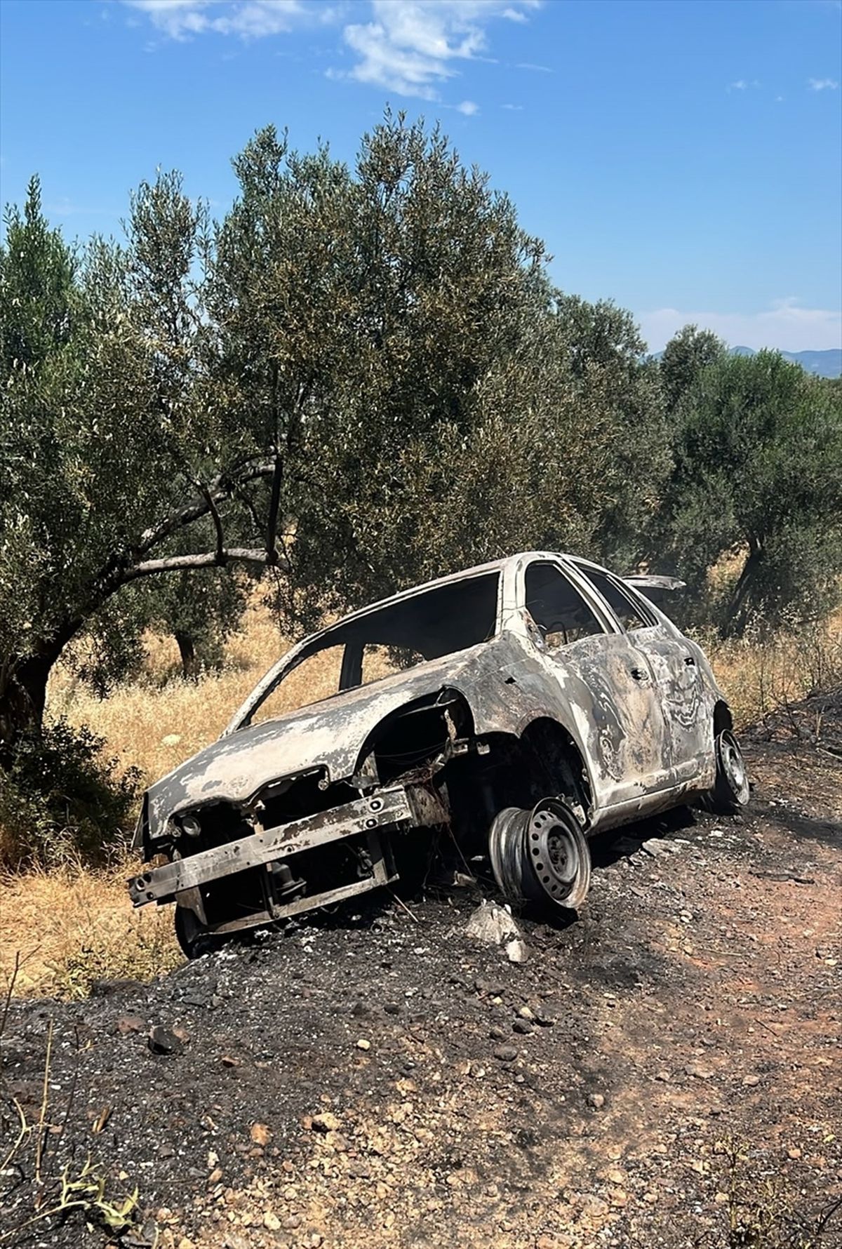Balıkesir'de otomobilde başlayıp zeytinliğe sıçrayan yangın söndürüldü
