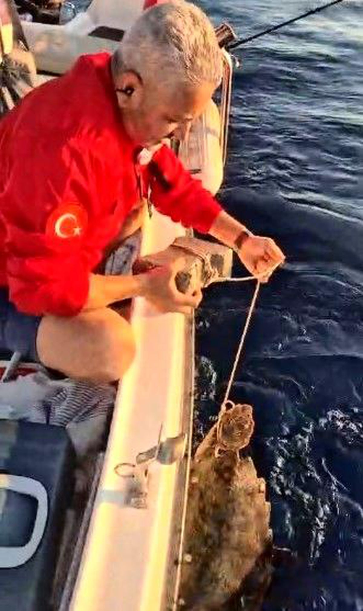 Böyle vicdansızlık görülmedi: "Deniz kaplumbağasının ayağına kaldırım taşı bağlamışlar"