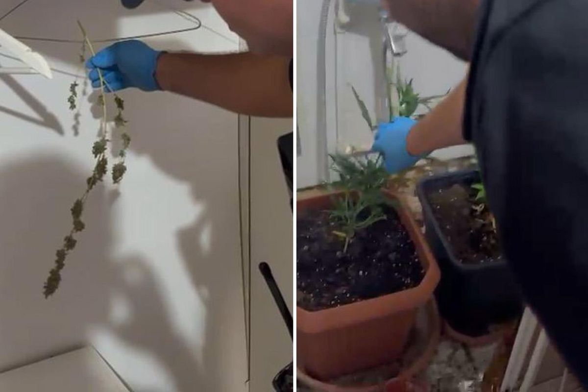 Çok özel görüntüler! Baro başkanı ve 12 avukatın evlerinden çıkanlar şoke etti