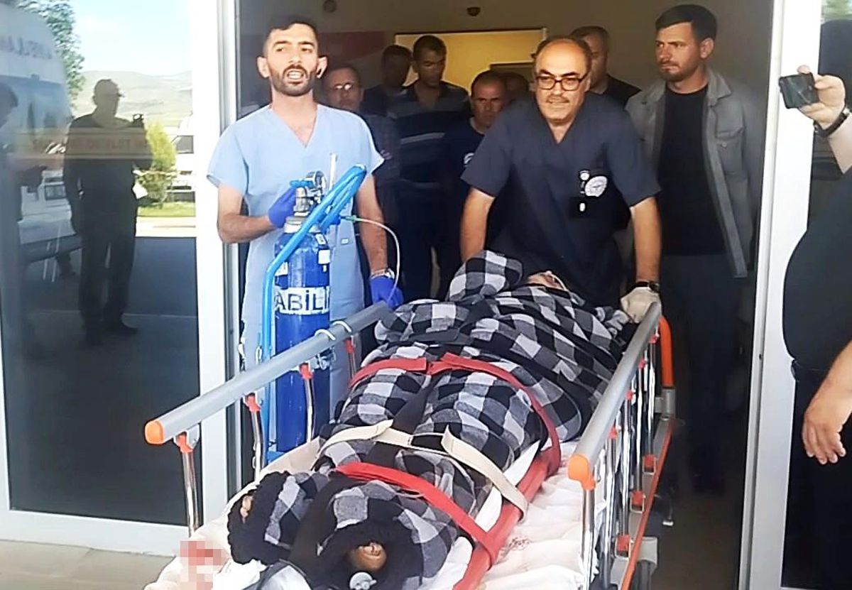 Hayvanlarını otlatırken ayı saldırısına uğradı, Kangallar imdadına yetişti
